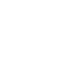 Check icon